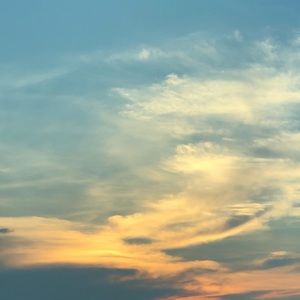 Meet your Posher, Silvia